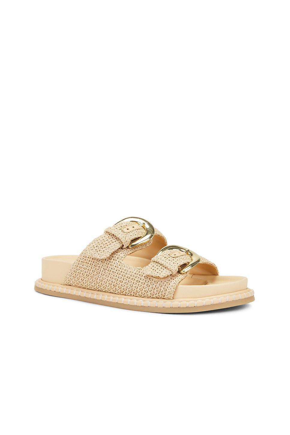 Shauny Sandal Dolce Vita Product Image