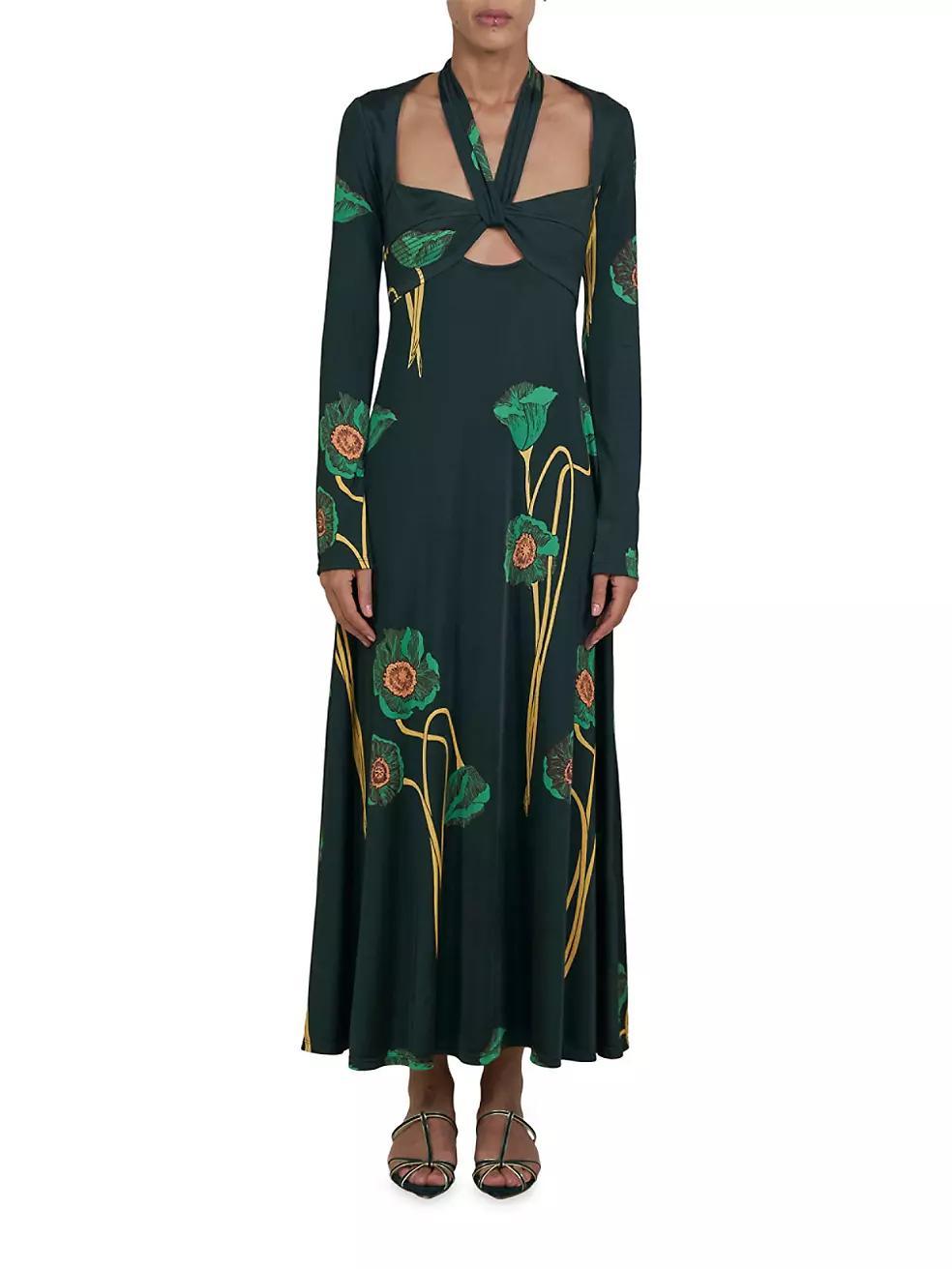 Paisaje Lejano Maxi Dress Product Image