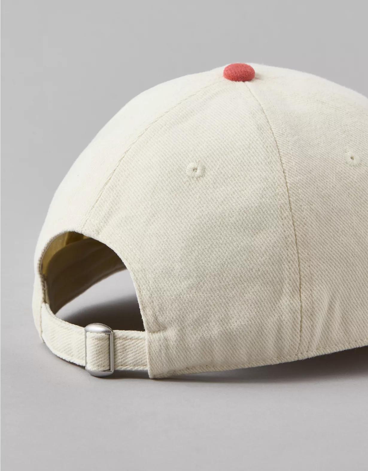 AE Destination Baseball Hat Product Image