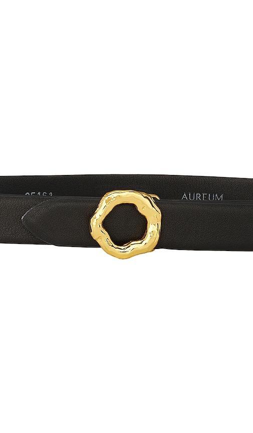 AUREUM Black & Gold Motif Belt Black. (also in ). Product Image