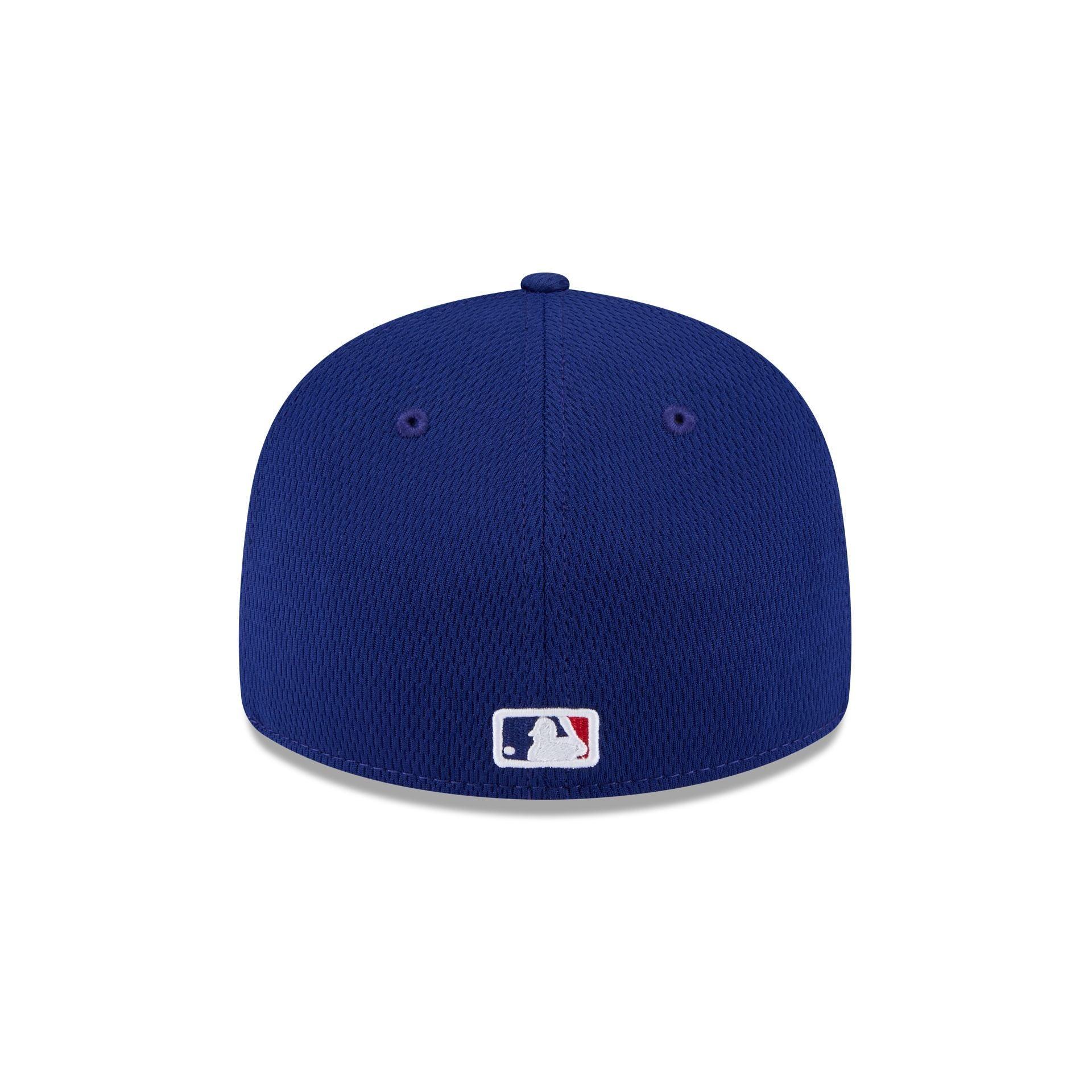 Los Angeles Dodgers Snake Scale Logo Low Profile 59FIFTY Fitted Hat Male Product Image