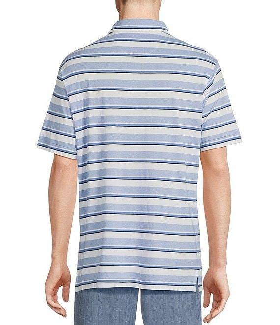 Blue Label Block Island Collection Multi-Striped Jersey Short Sleeve Polo Shirt Product Image