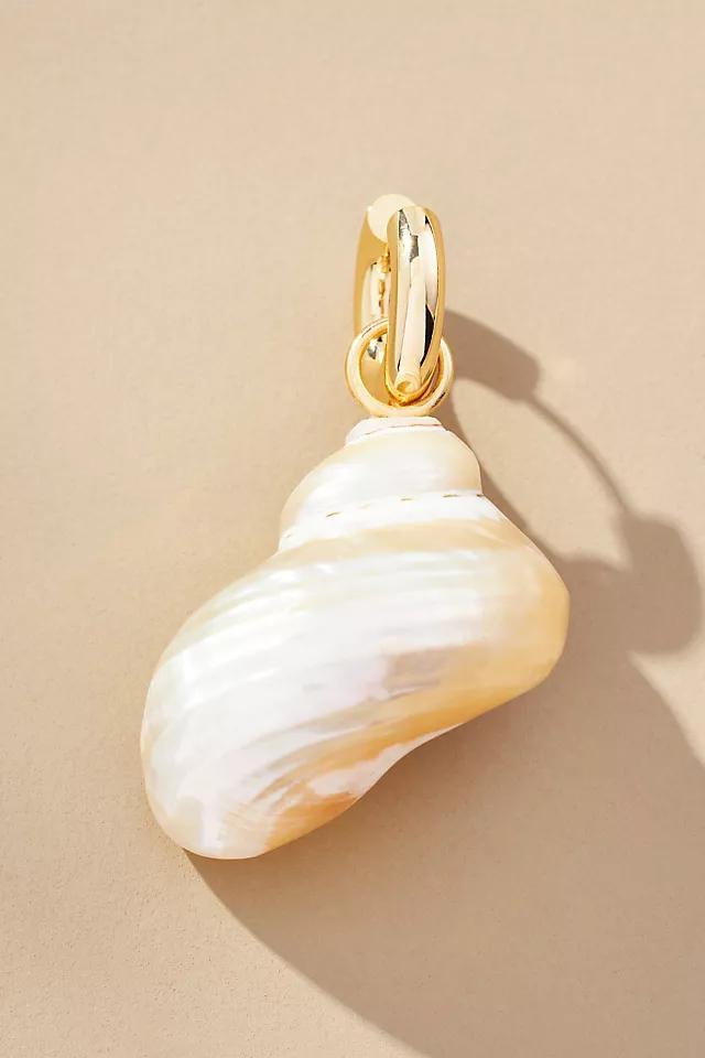 Conch Shell Huggie Earrings Product Image