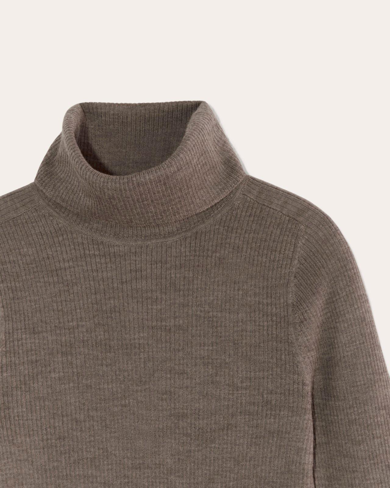 Womens Turtleneck in Ultrasoft Merino Sweater by Everlane Product Image