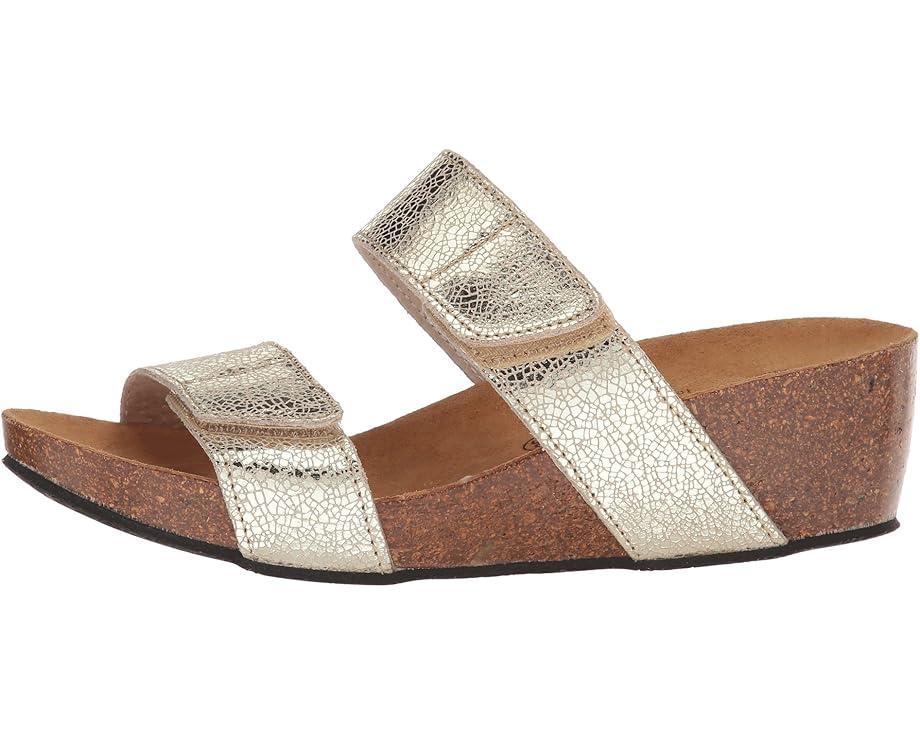 Lily 2 Product Image