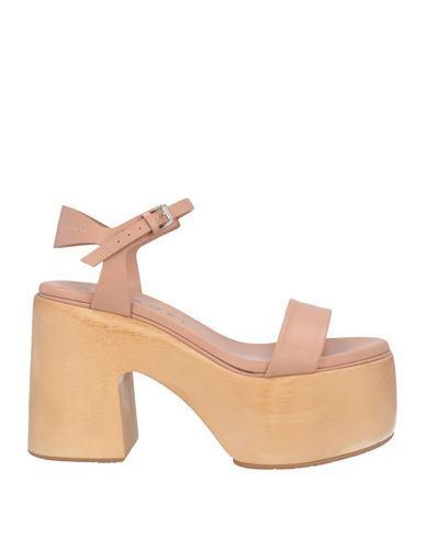 CASADEI Woman Sandals Blush Size 9 Leather In Pink Product Image