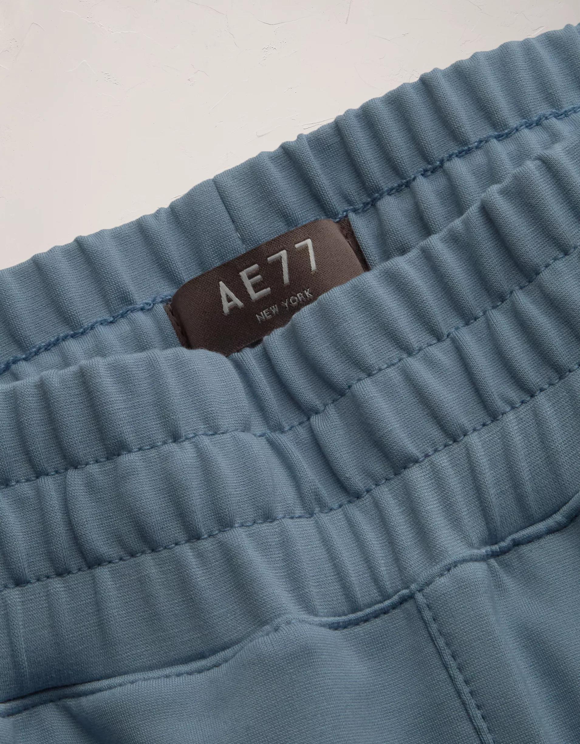 AE77 Premium Straight Track Pant Product Image
