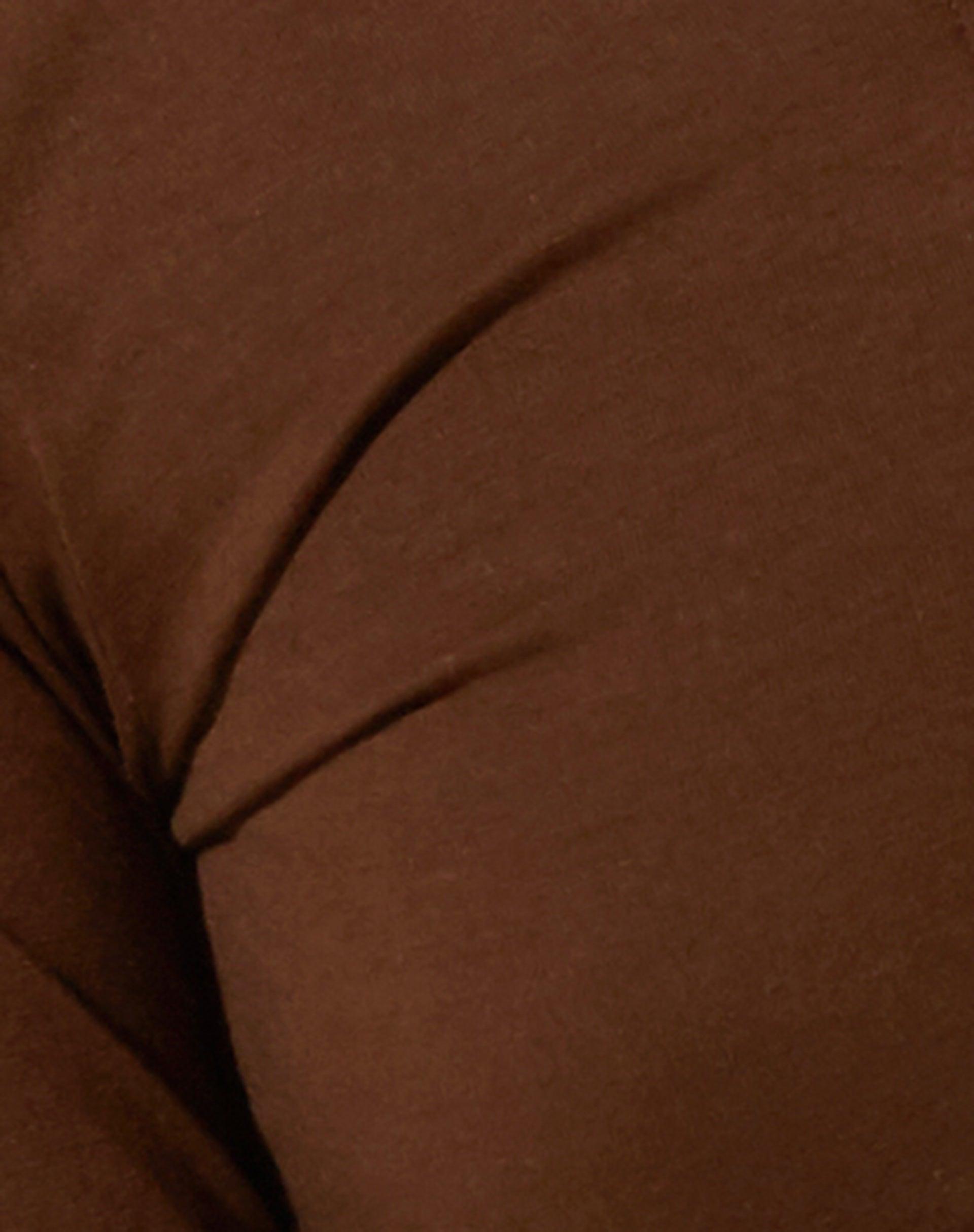 Gisy Crop Top in Cocoa Brown Product Image