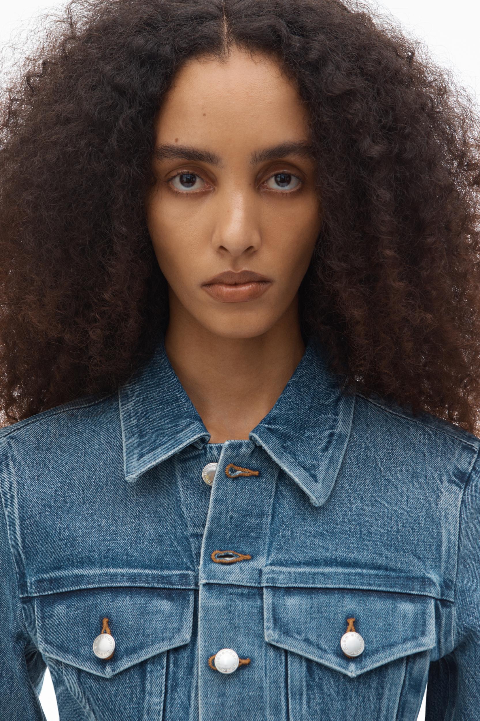 Denim Trucker Jacket Product Image