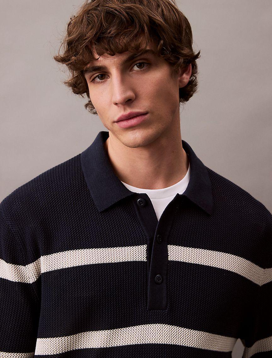 Striped Polo Sweater Product Image