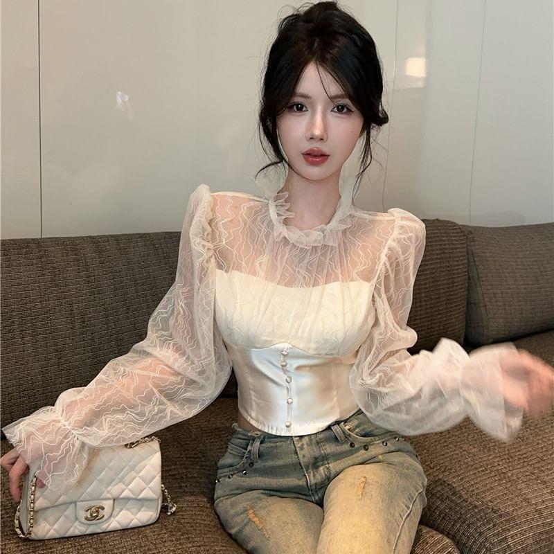 Long-Sleeve Mesh Corset Waist Crop Top Product Image