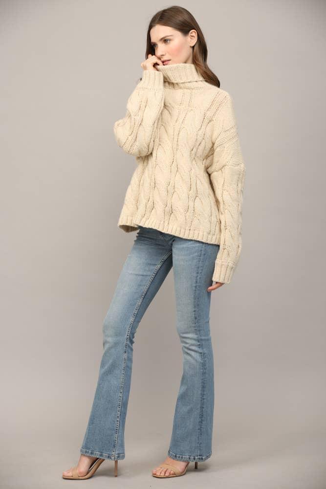 Cable Knit Turtleneck Product Image