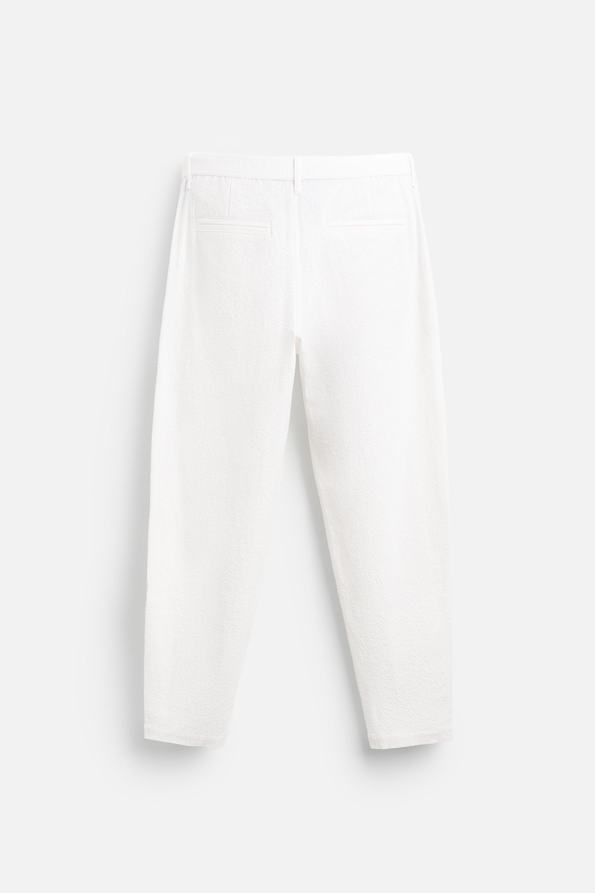 TEXTURED PLEATED PANTS Product Image