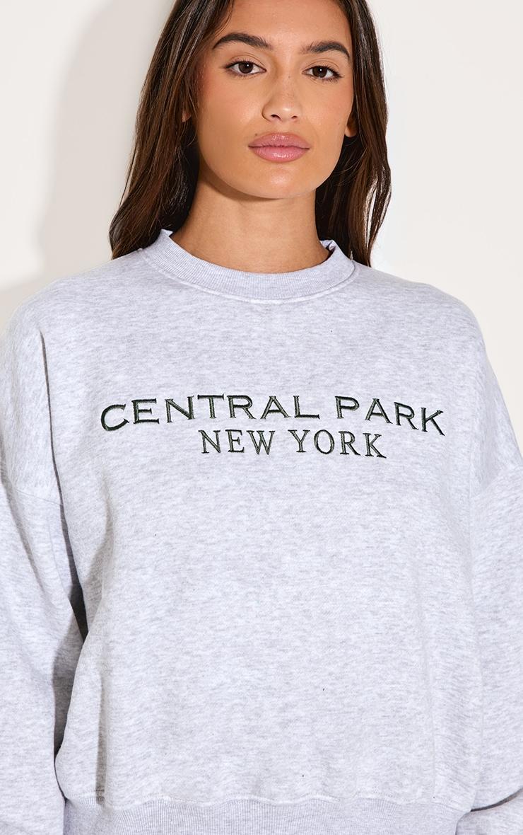  Ash Grey Central Park Embroidered Boxy Sweat Product Image