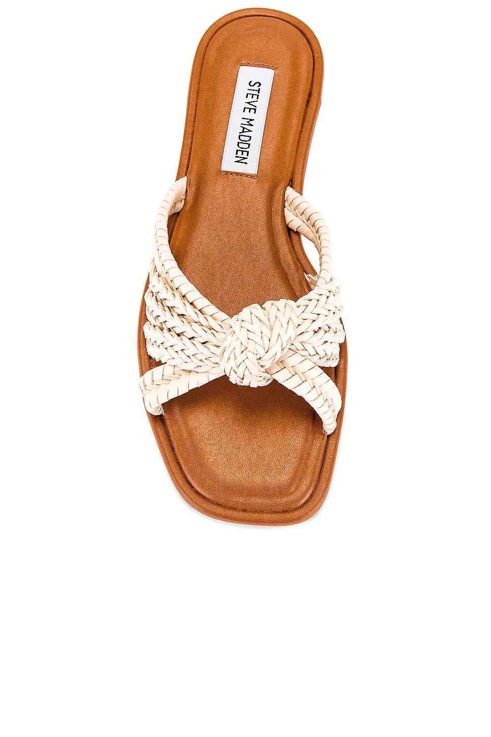 Kandace Sandal Steve Madden Product Image