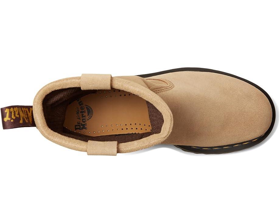 Anistone Harness Product Image