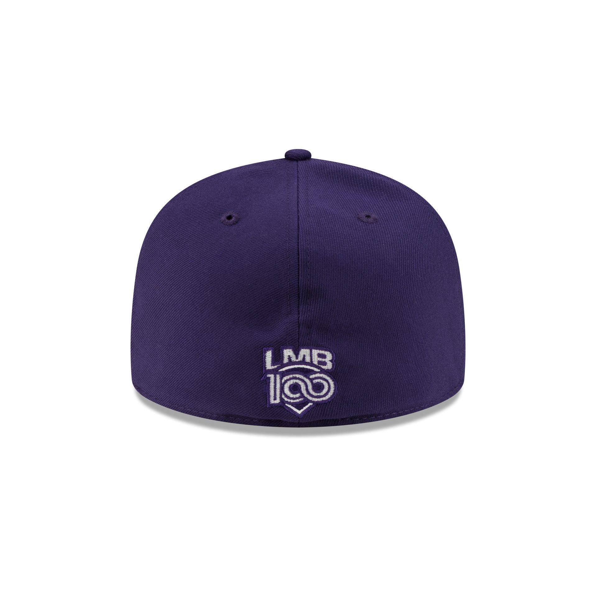 Delmarva Shorebirds Theme Night 59FIFTY Fitted Hat Male Product Image