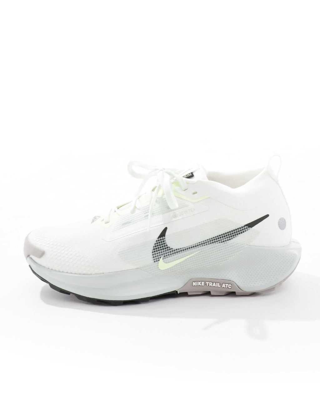 Nike Running Pegasus Trail 5 Gore-Tex sneakers in off white and silver Product Image