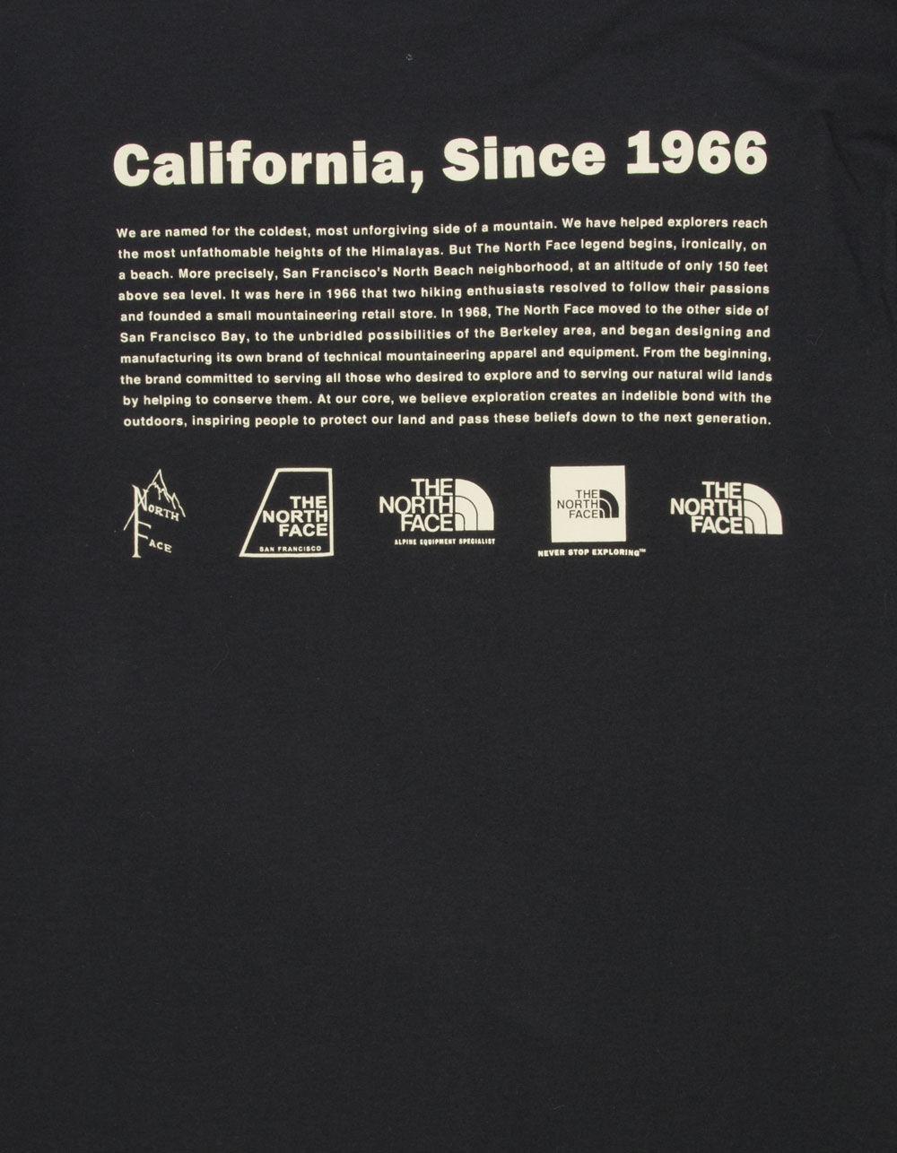 THE NORTH FACE Coordinates Mens Tee - TAN Product Image