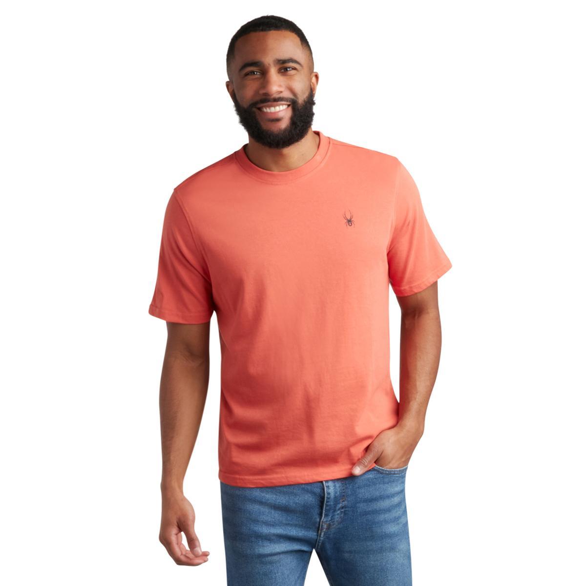 Spyder Men's Mountain T-shirt Product Image