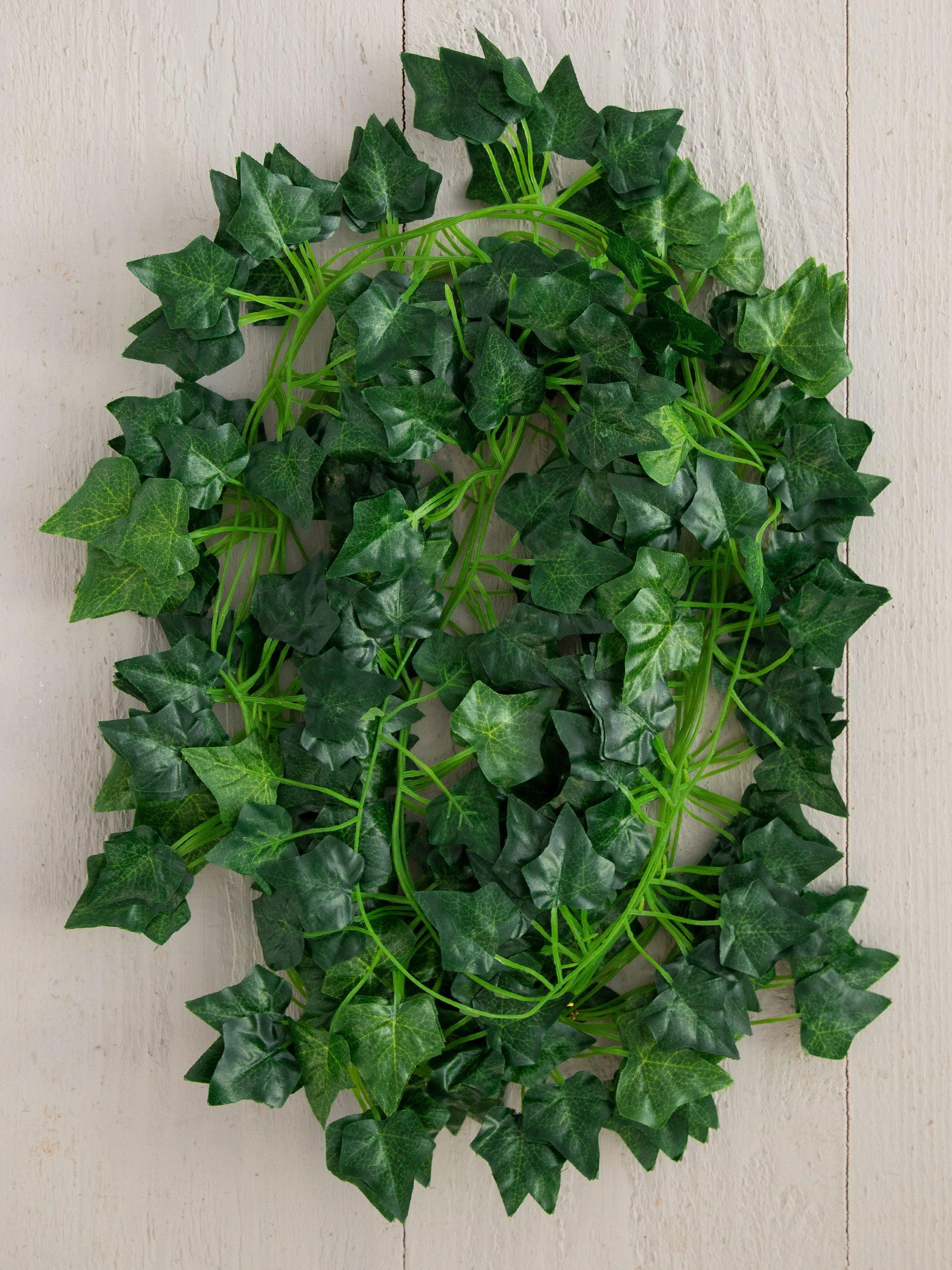 Vine Garland, Set of 5 Product Image