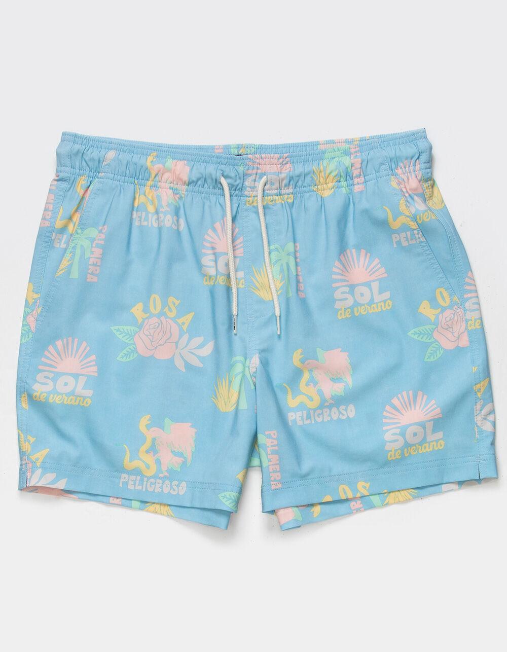 RSQ Mens Baja 5" Swim Shorts Product Image