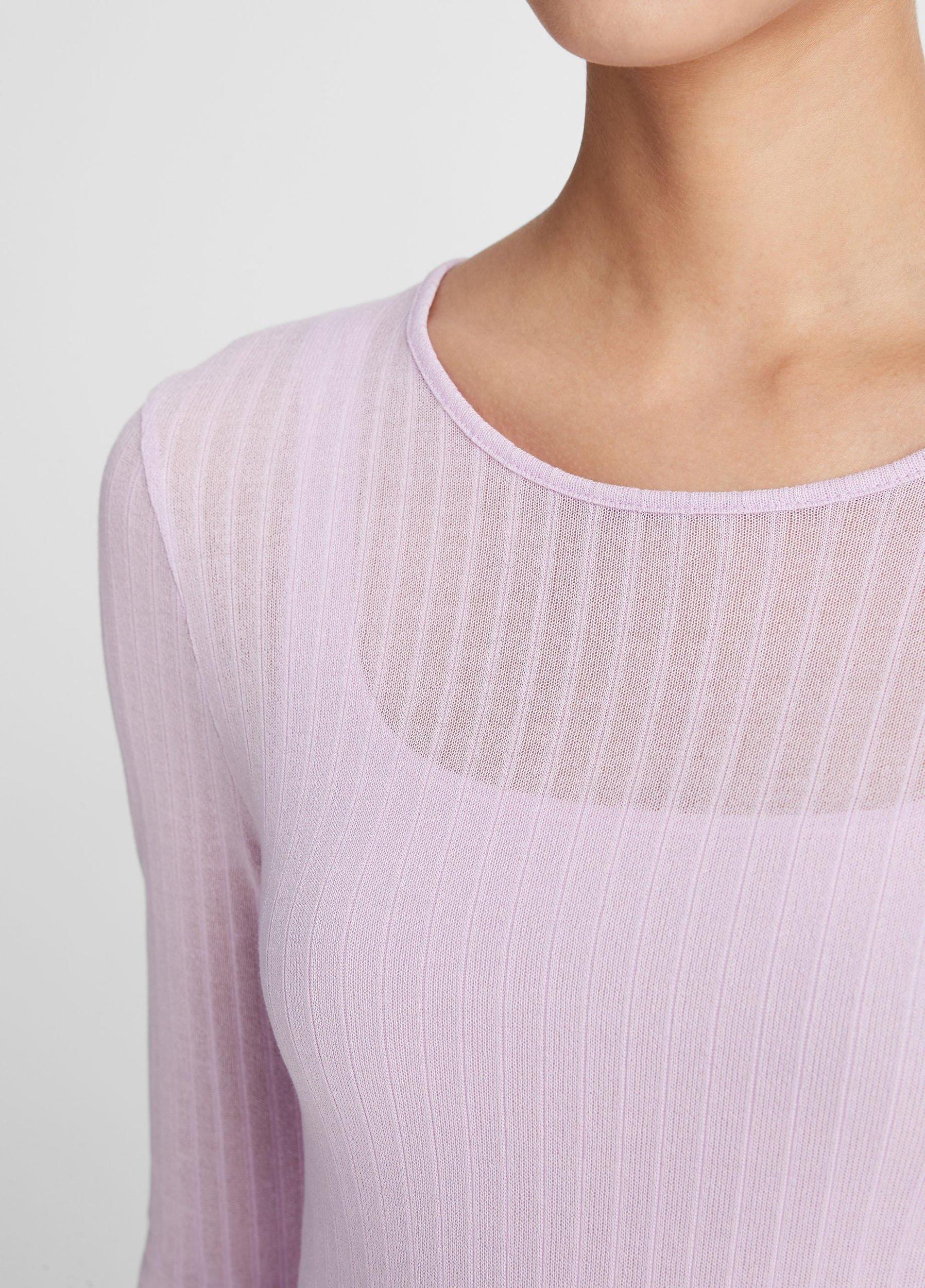 Sheer Long-Sleeve Crew Neck Top Product Image