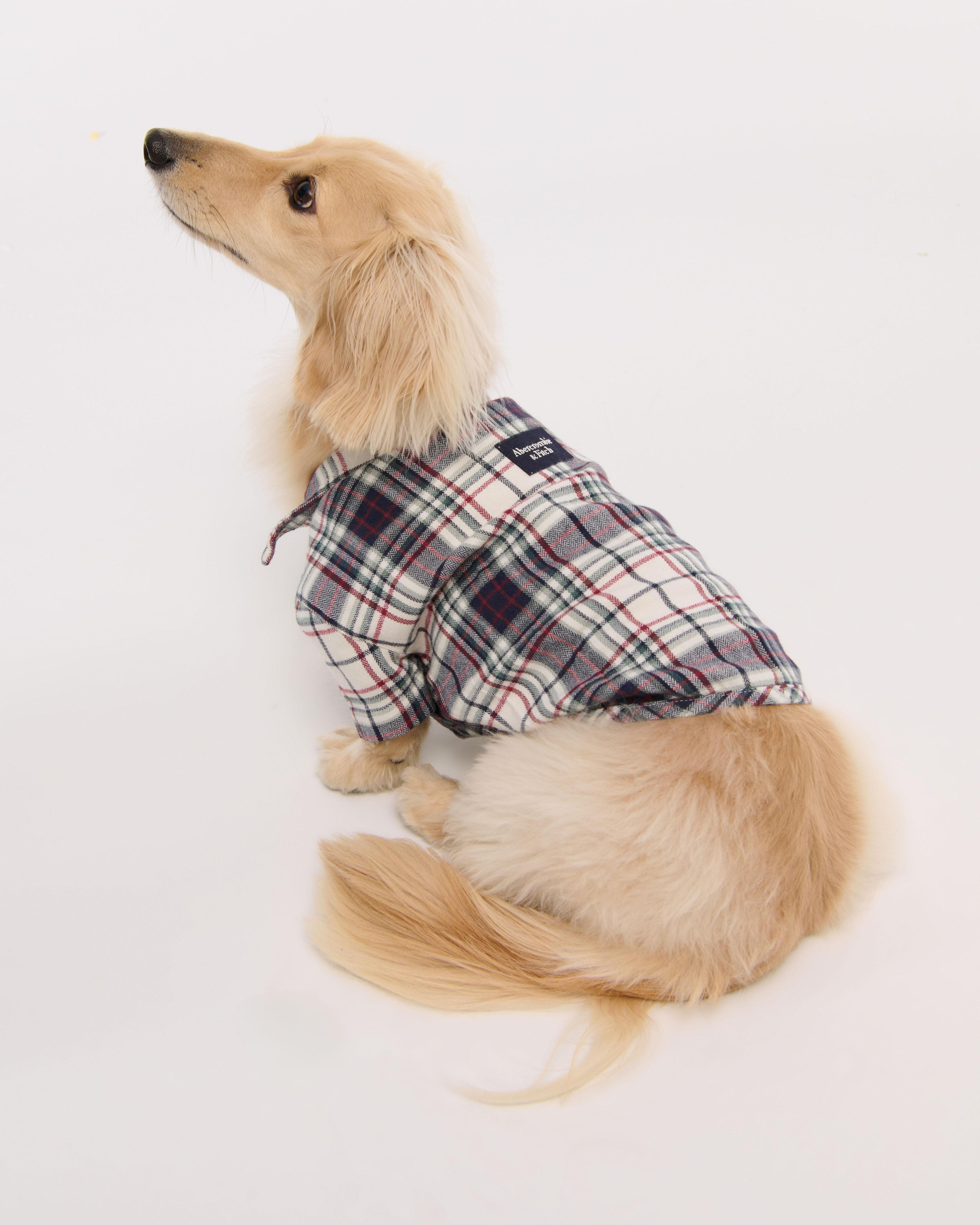 A&F Pet Sweater Product Image