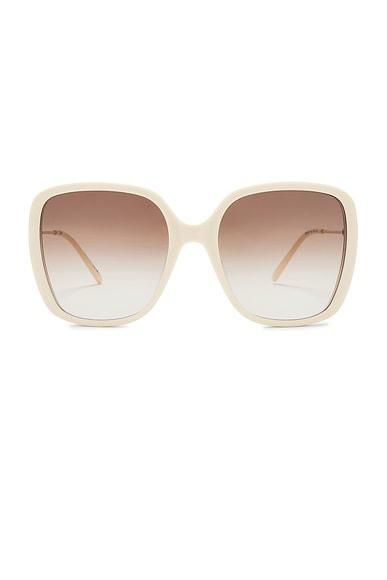 Square Sunglasses Product Image