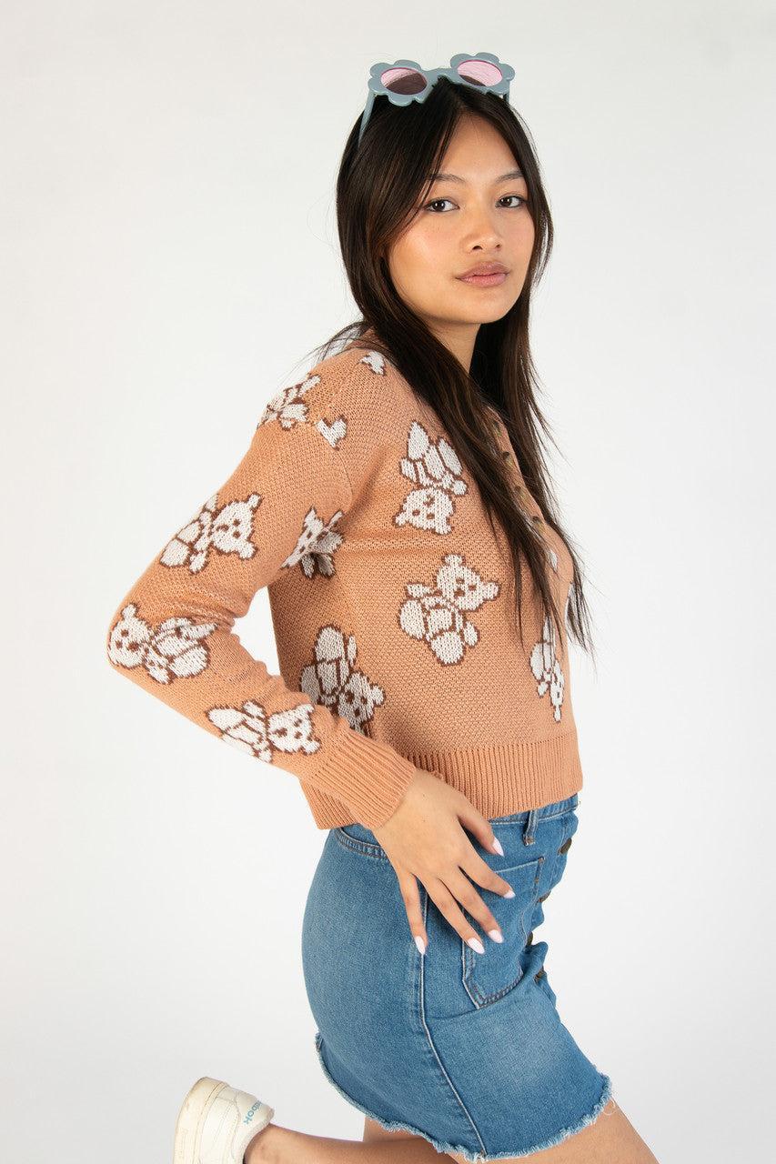 Teddy Bear Henley Sweater Product Image