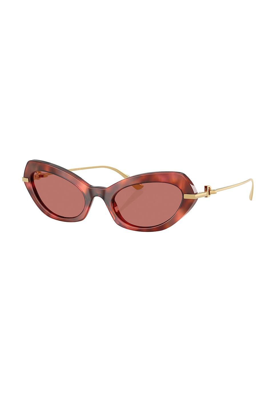 DOLCE & GABBANA Cat Eye Sunglasses In Multi Product Image