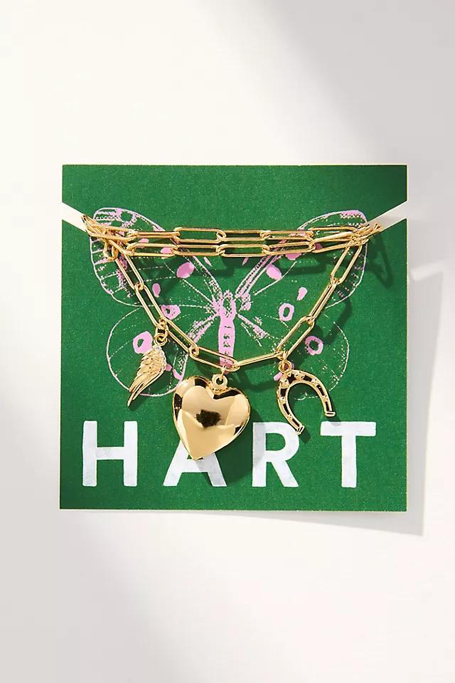 Hart Horseshoe Heart Charm Necklace Product Image