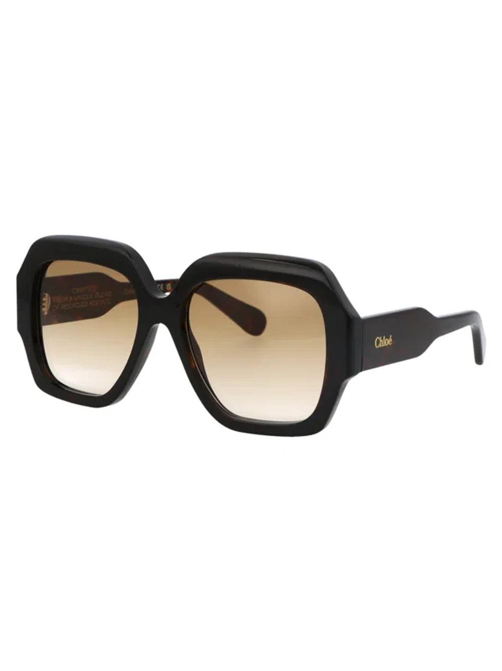 CHLOÉ Chloe Sunglasses Ch0154 S 002 In Brown Product Image