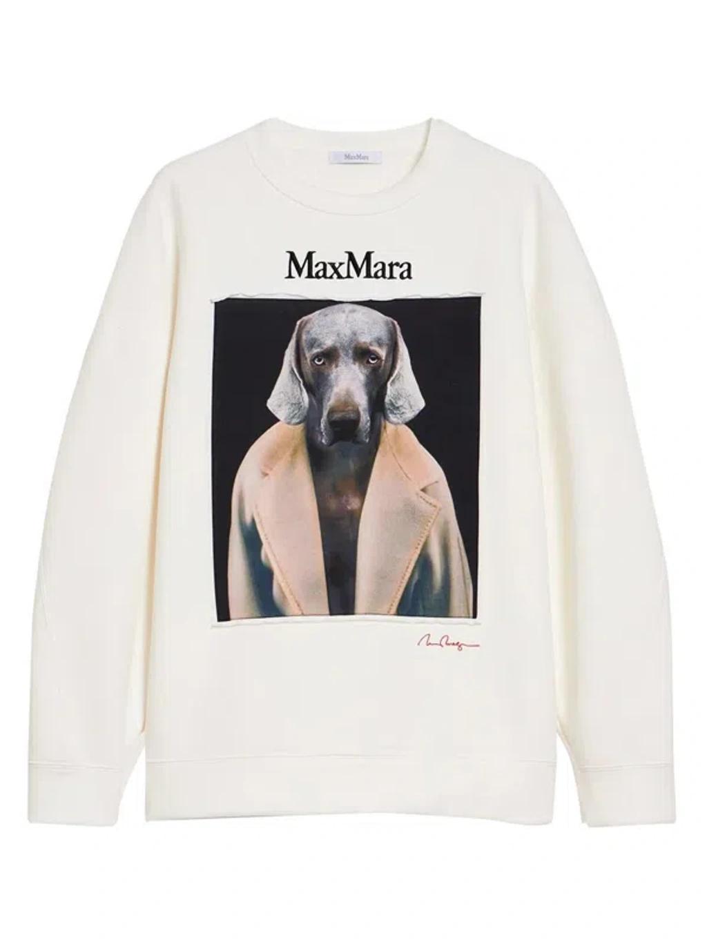 MAX MARA Wegman Print Sweatshirt In White Product Image