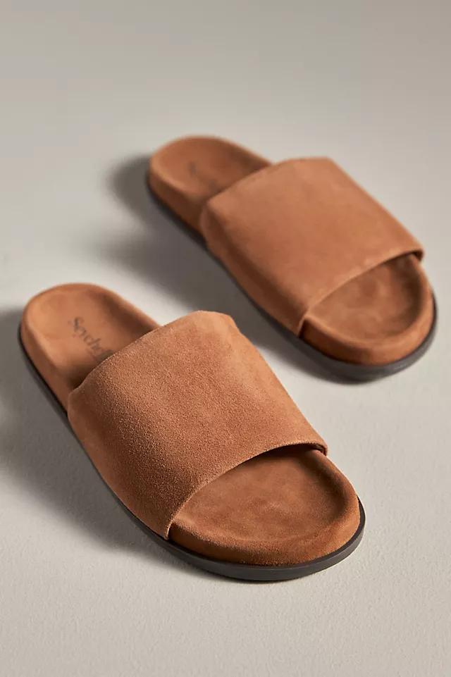 Seychelles Farrah Suede Slide Sandals Product Image