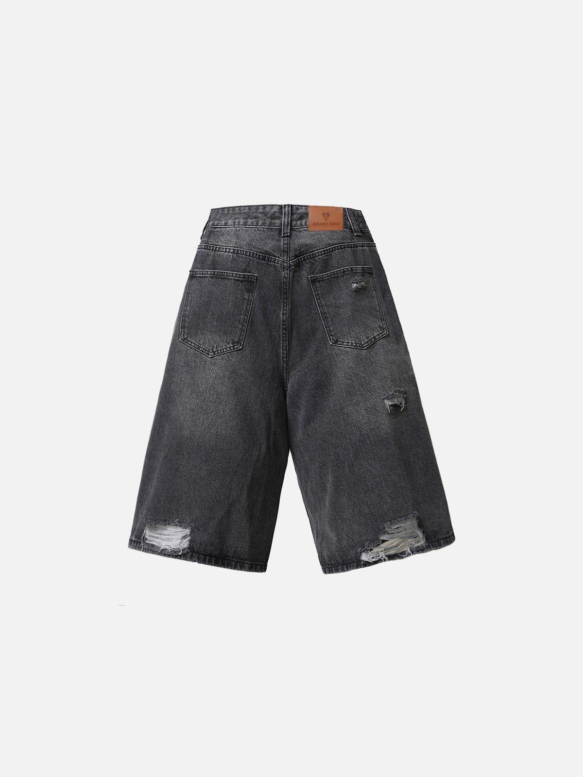 Aelfric Eden Distressed Washed Jorts Product Image