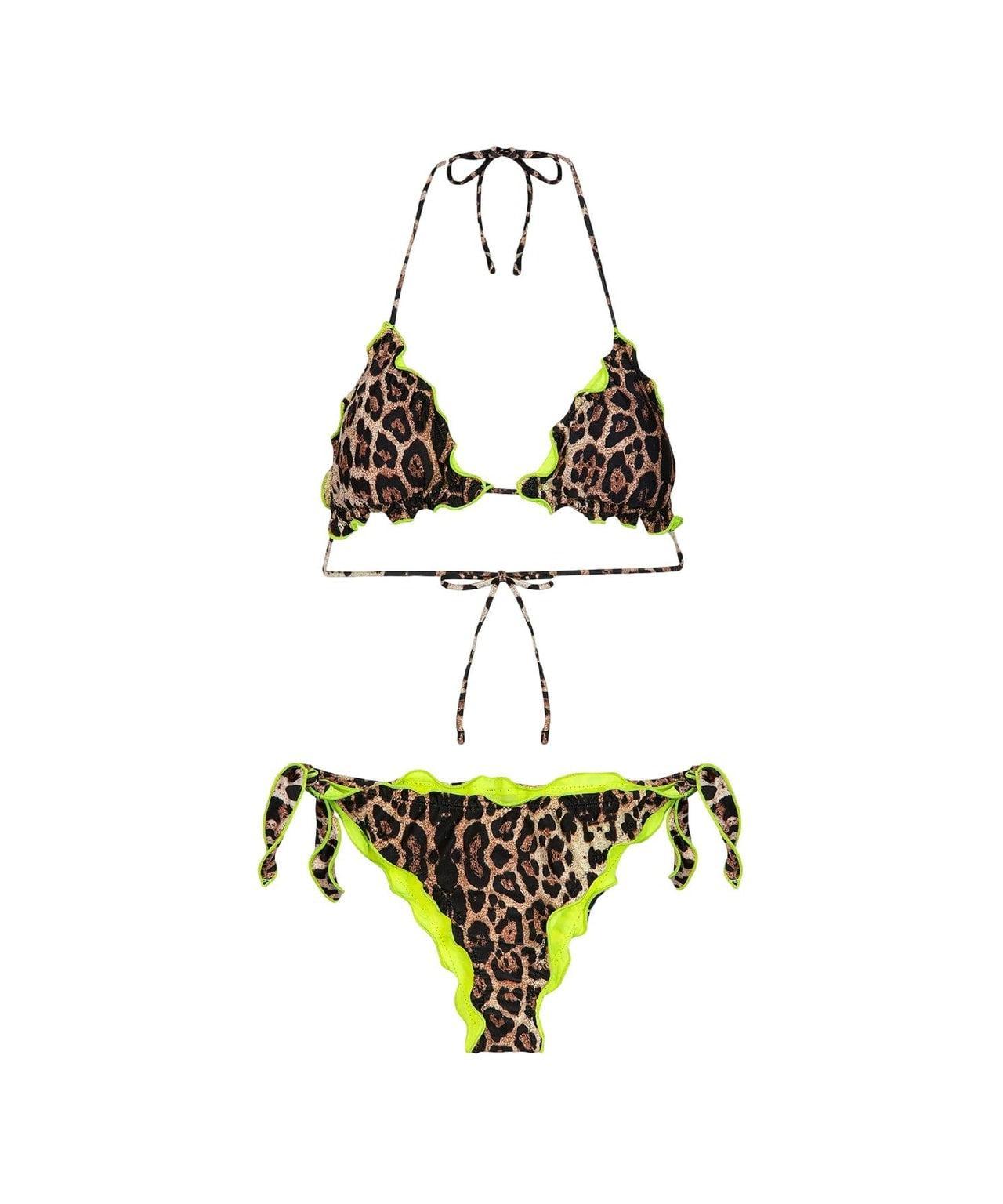 Bikini with animal print Product Image