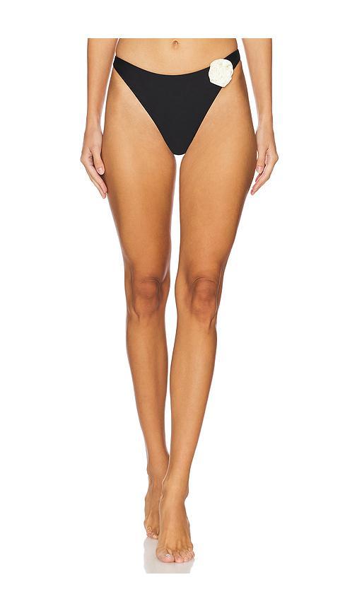 Leilani Mid Rise Bikini Bottom Product Image