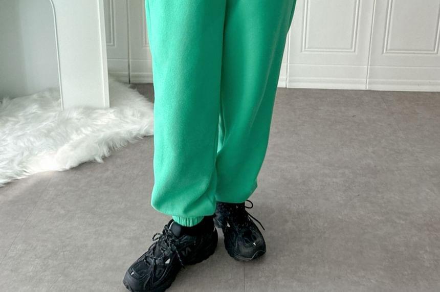 Drawstring Waist Plain Fleece-Lined Sweatpants Product Image