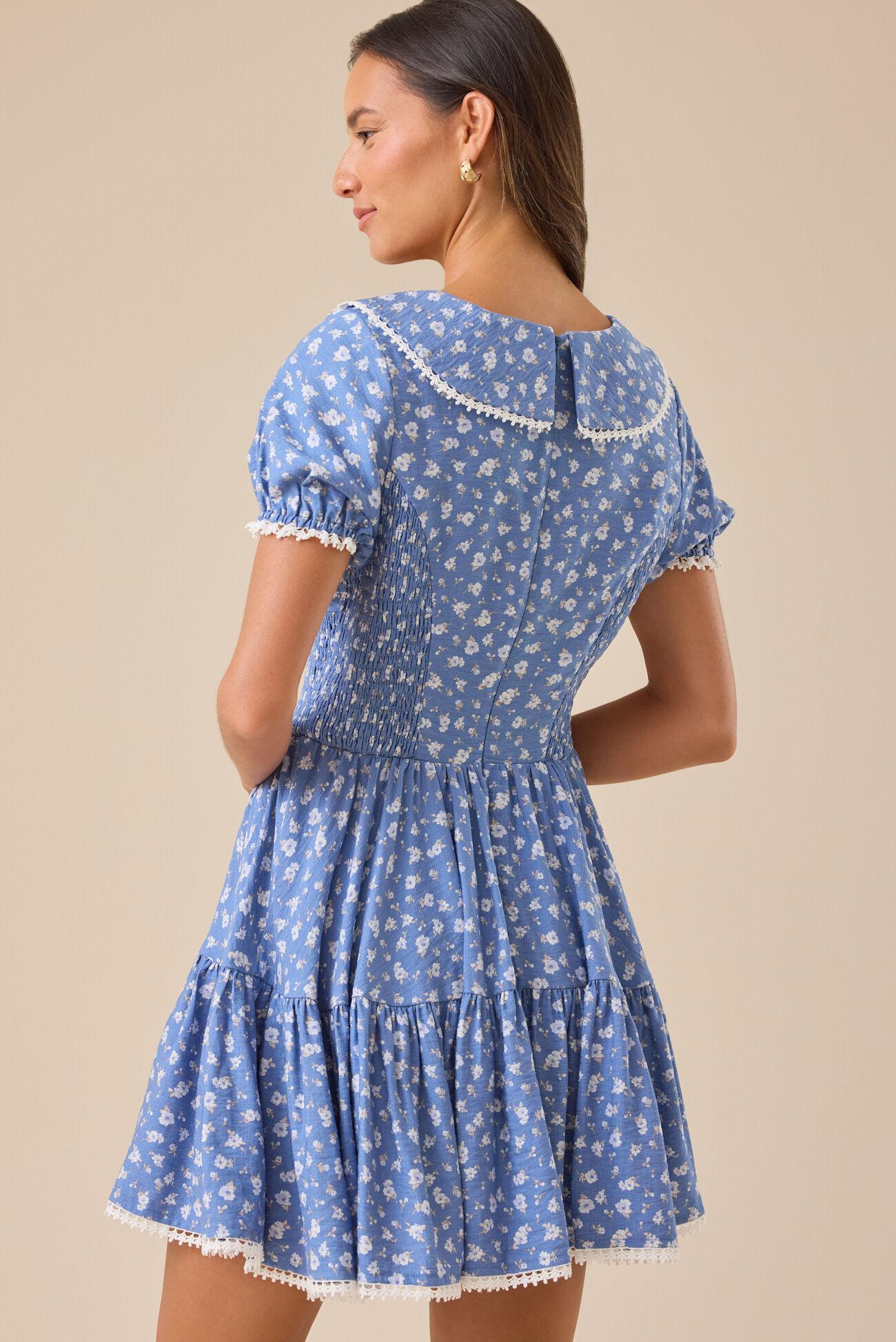 Ingrid Mini Dress Product Image