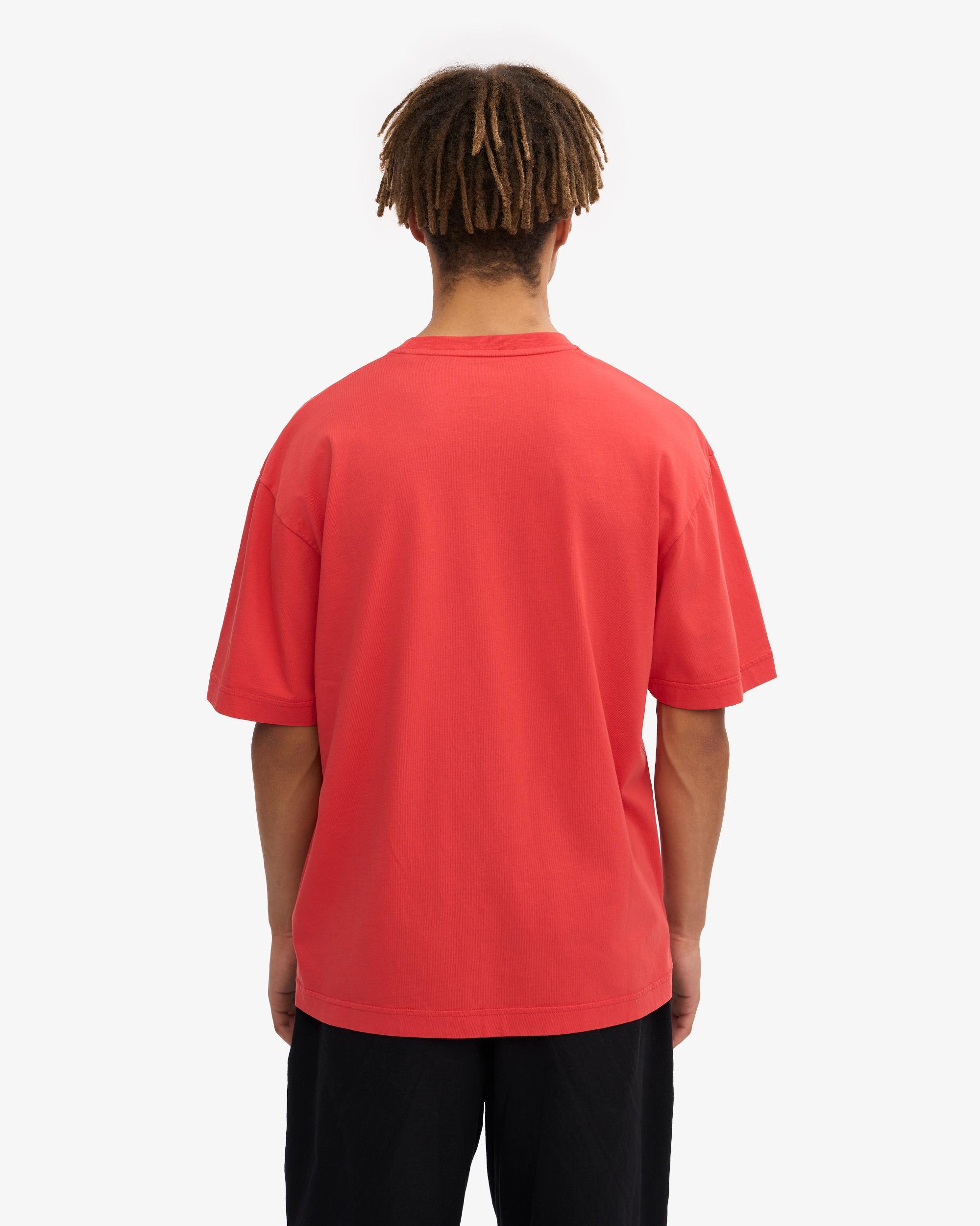 Theory Bron Cotton Polo in Baby Blue Product Image