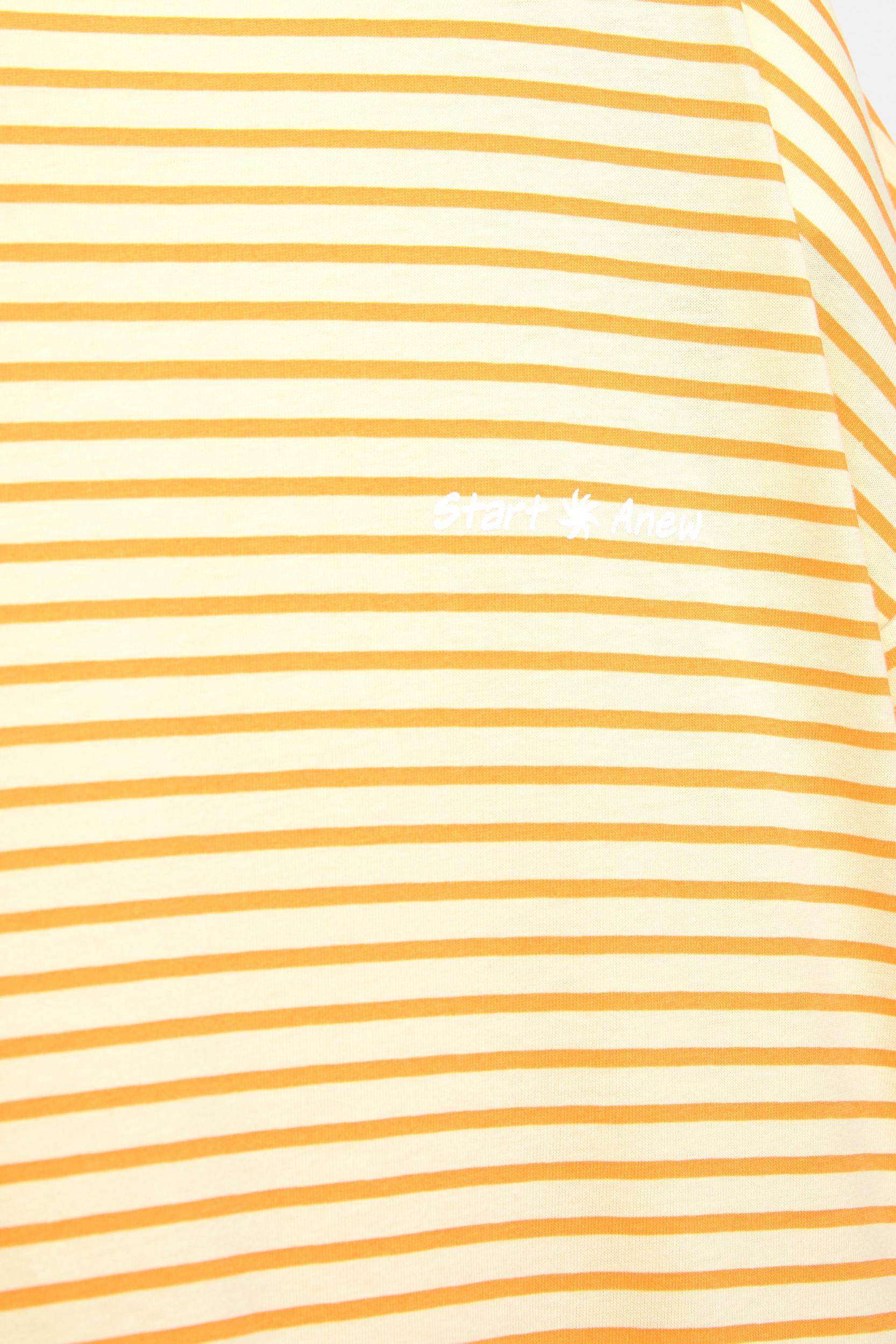 Striped T-shirt Product Image