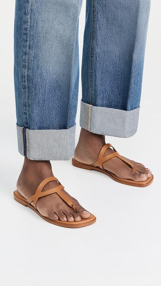 Zimmermann Bay Thong Sandals | Shopbop Product Image