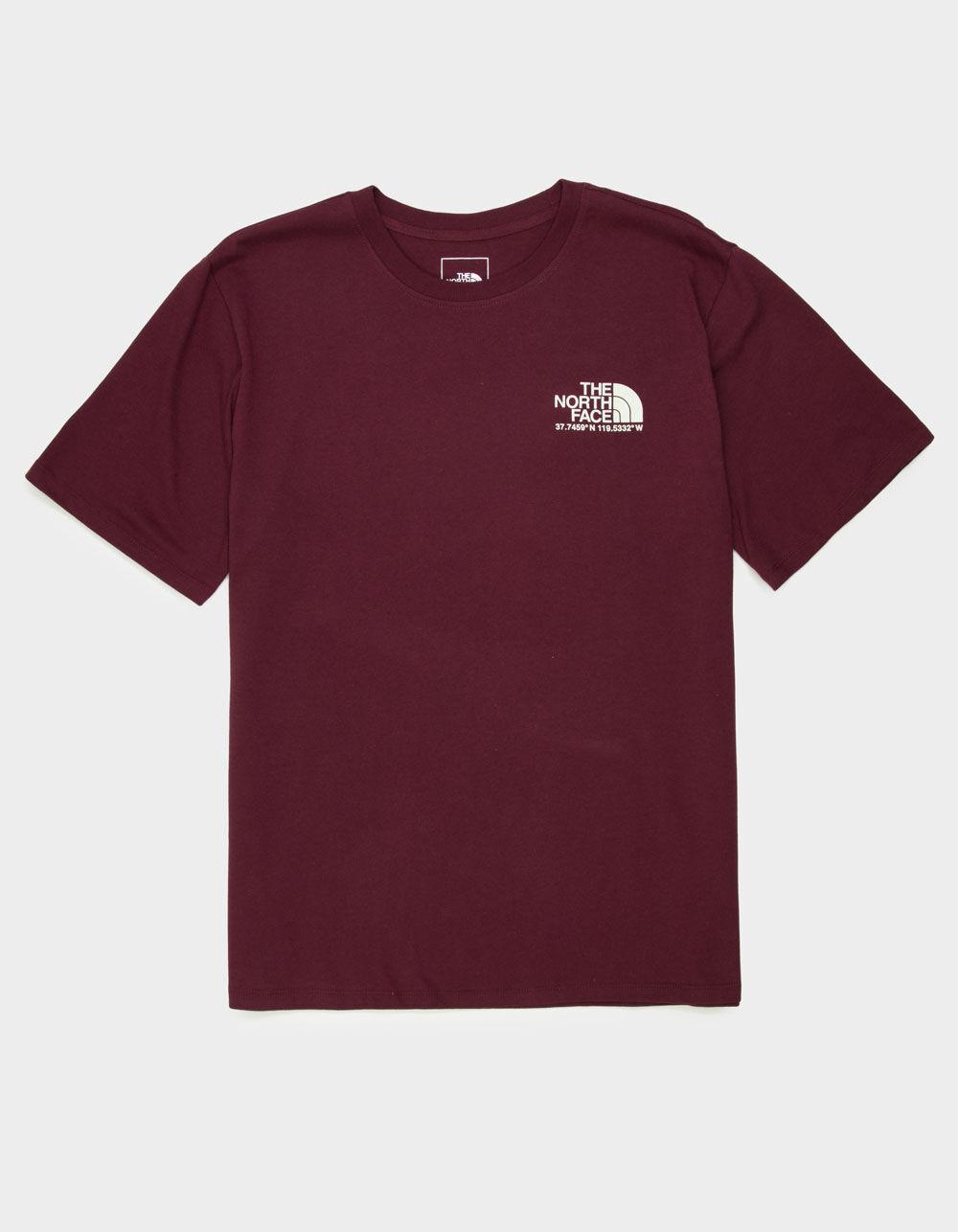 THE NORTH FACE Coordinates Mens Tee - TAN Product Image