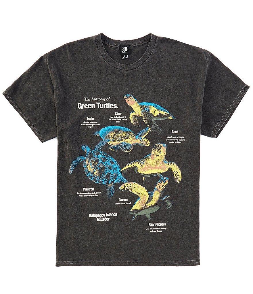 BDG Urban Outfitters Anatomy Turtles Short Sleeve Graphic T-Shirt Product Image