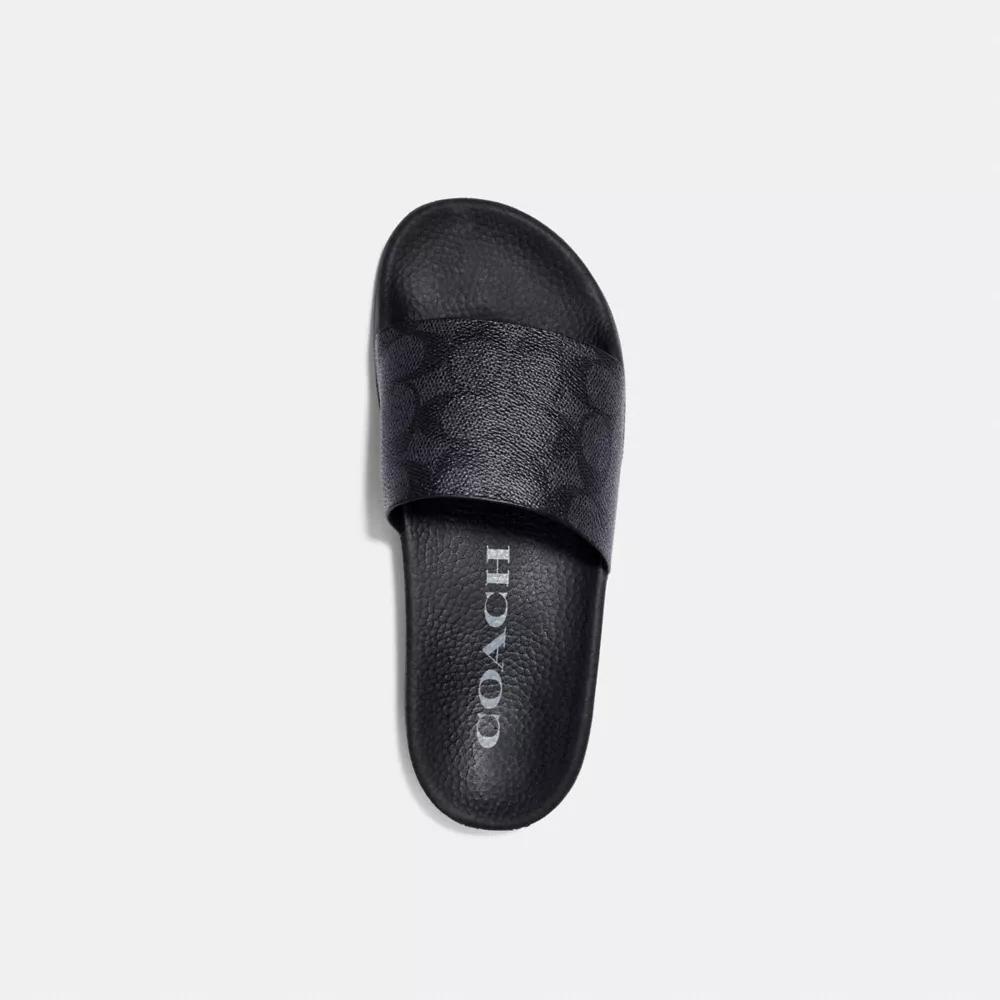 Udele Sport Slide In Signature Canvas Product Image