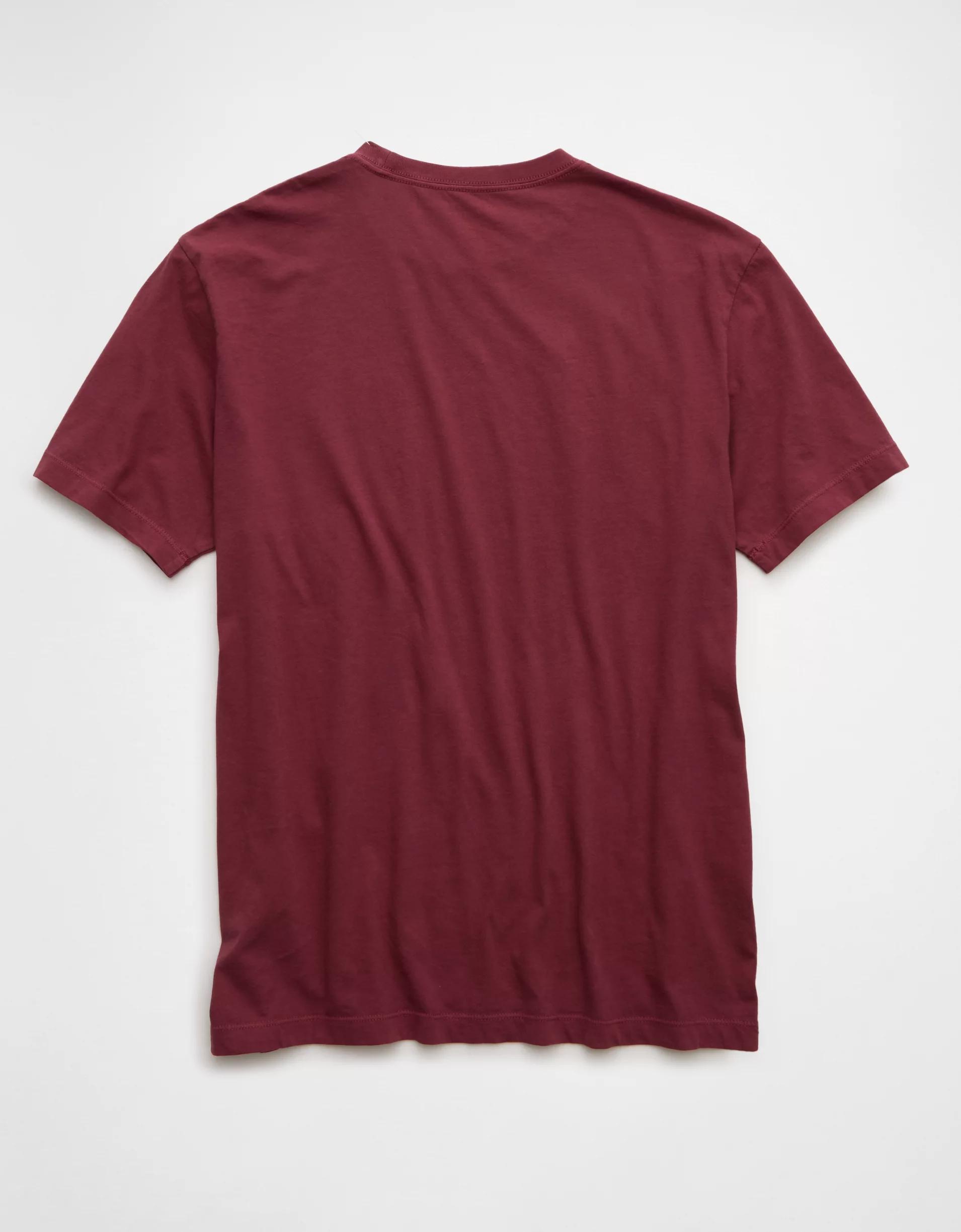 AE Lived-In T-Shirt Product Image