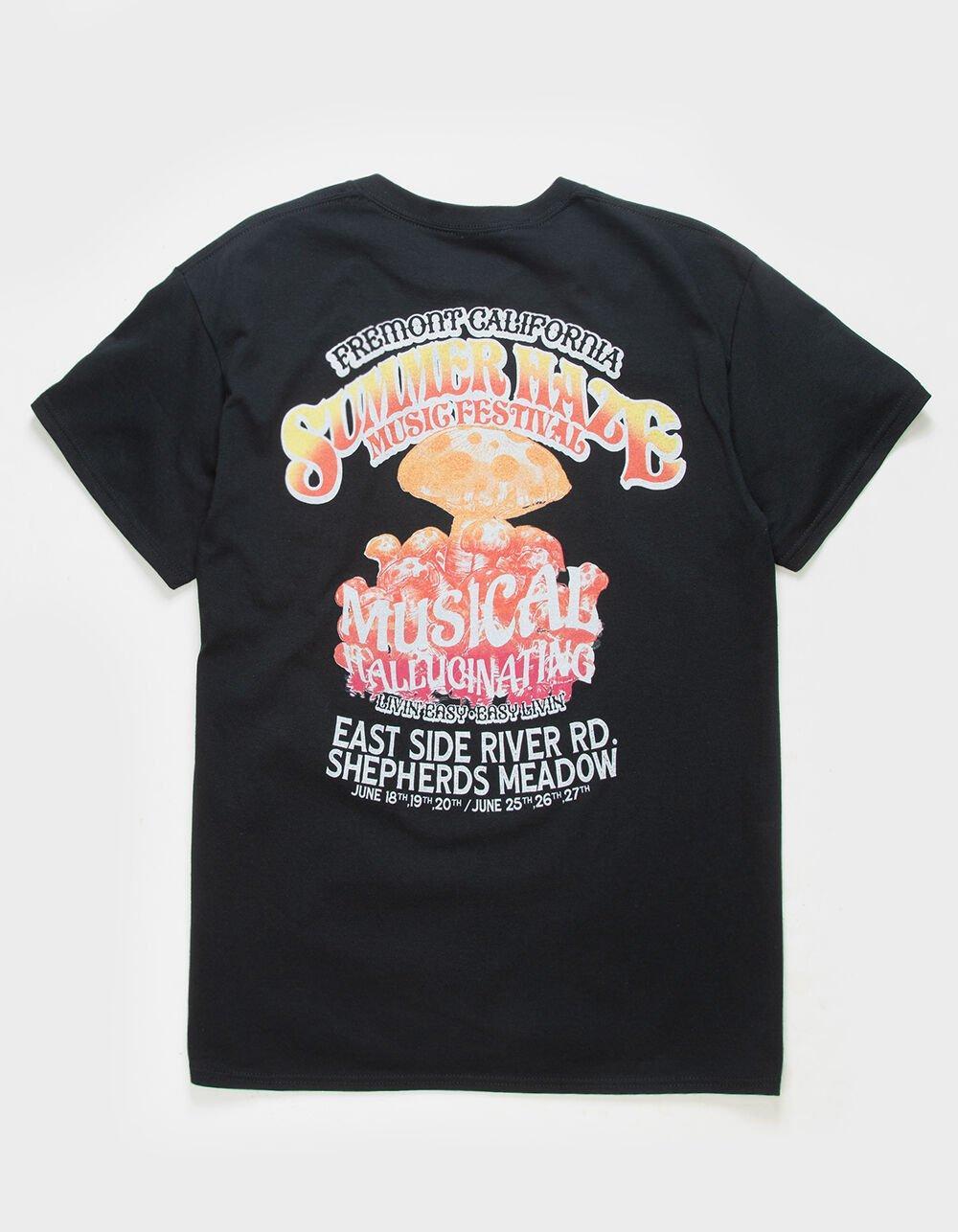 EVERYDAY VANDALS Summer Music Mens Tee Product Image