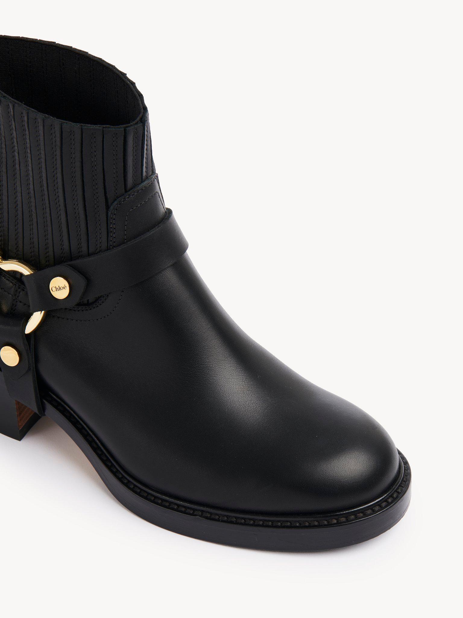 Dakota ankle boot Product Image