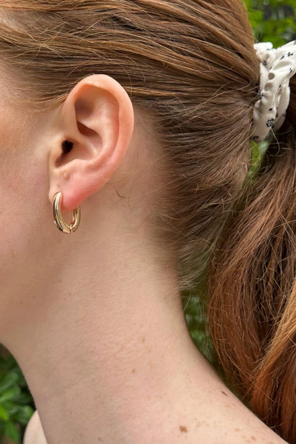 Hoop Earrings Product Image